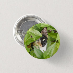 Badge Rond 2,50 Cm Calico Cat dans les Zinnias