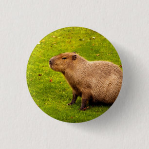 Badge Rond 2,50 Cm Capybara