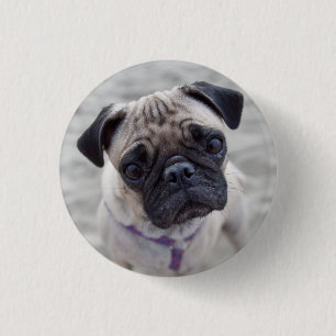 Badge Rond 2,50 Cm Carlin