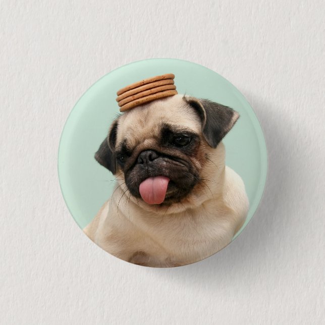 Badge Rond 2,50 Cm Carlin Wants Traitements (Devant)