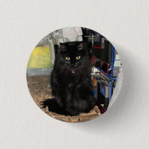 Badge Rond 2,50 Cm Cat