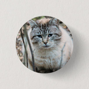 Badge Rond 2,50 Cm Cat