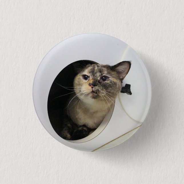 Badge Rond 2,50 Cm Cat (Devant)