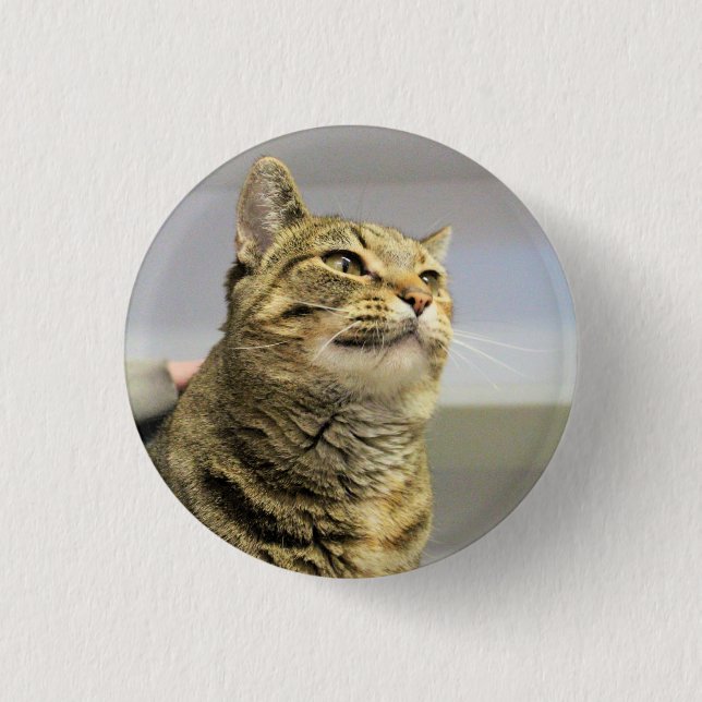 Badge Rond 2,50 Cm Cat   (Devant)