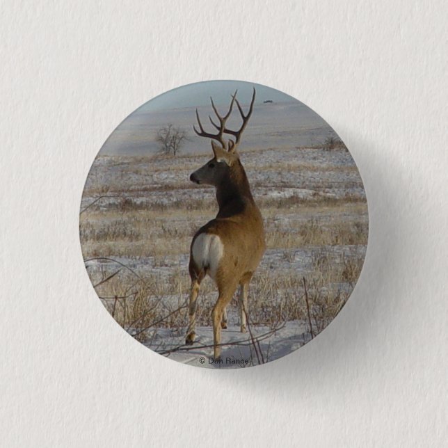 Badge Rond 2,50 Cm Cerf mulet mâle D20 dans la neige (Devant)
