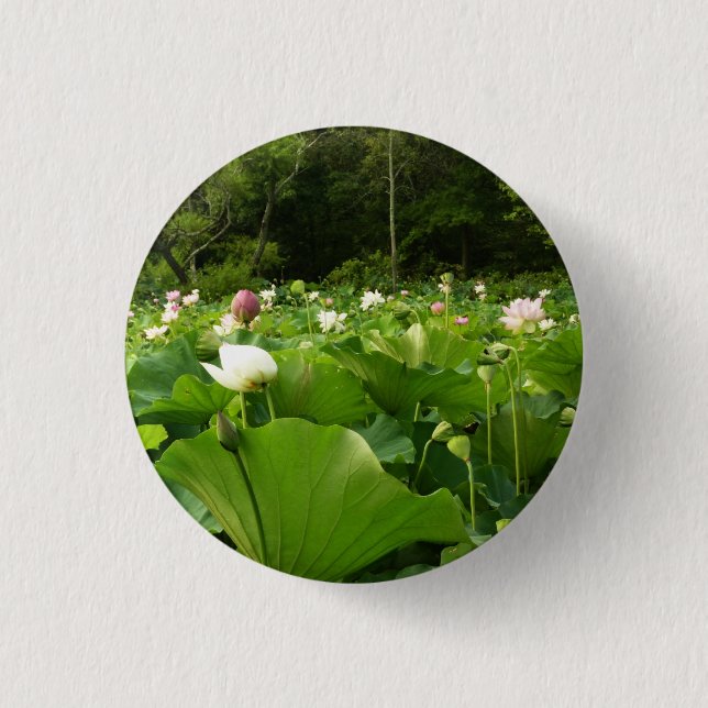 Badge Rond 2,50 Cm Champ de fleurs de Lotus Jardin d'été (Devant)