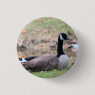 Badge Rond 2,50 Cm Chapeau de camionneur Goose