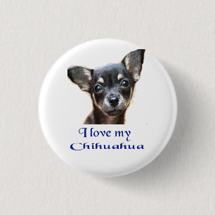Badge Rond 2,50 Cm chihuahua
