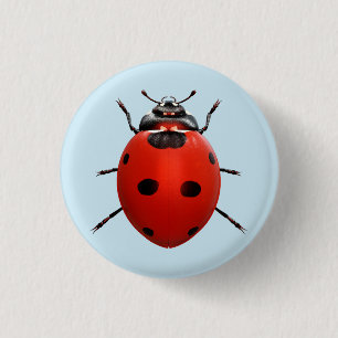 Badge Rond 2,50 Cm Coccinelle Chanceuse