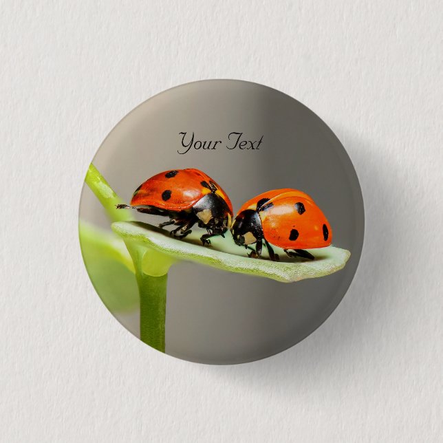 Badge Rond 2,50 Cm Coccinelles Coléoptères Broche (Devant)