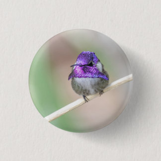 Badge Rond 2,50 Cm Colibri de Costa