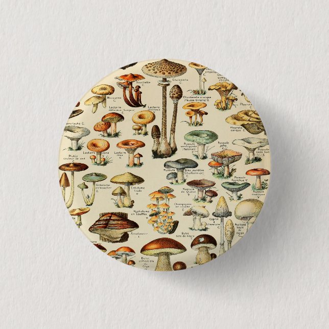 Badge Rond 2,50 Cm Collection de champignons (Devant)