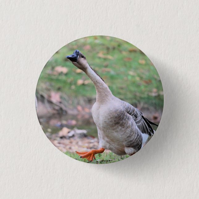Badge Rond 2,50 Cm Collier argenté d'oie soie (Devant)
