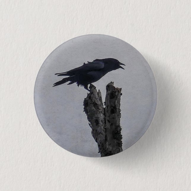 Badge Rond 2,50 Cm Corneille (Devant)