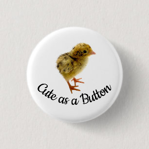 Badge Rond 2,50 Cm Couper comme un bouton Quail