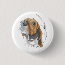 Cute Basset Hound Lovable Close