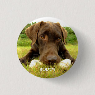Badge Rond 2,50 Cm Cute chocolat Labrador Custom