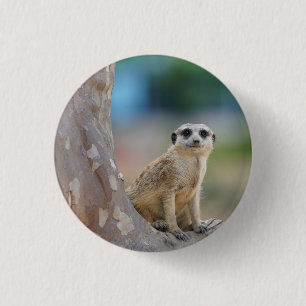 Badge Rond 2,50 Cm Cute Meerkat Sat on Tree
