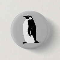 Cute Penguin