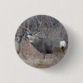 Badge Rond 2,50 Cm D29 Mule deer