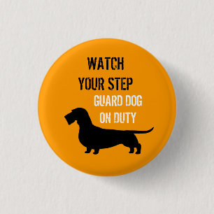 Badge Rond 2,50 Cm Dachshund à Poil Dur Attention à Vos Pas