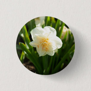 Badge Rond 2,50 Cm De grands jonquilles blancs par un jour de printem
