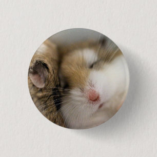 Badge Rond 2,50 Cm Déplacer vers Bob