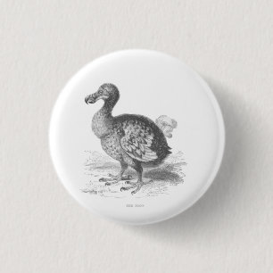 Badge Rond 2,50 Cm Dodo Bird