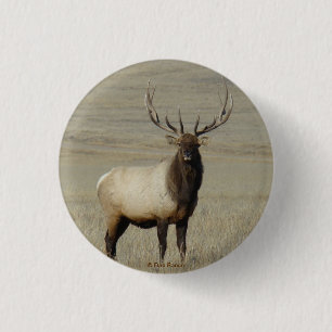 Badge Rond 2,50 Cm Élan mâle E46 Gros Taureau