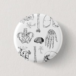 Badge Rond 2,50 Cm Ensemble d'illustrations médicales vintage d'anato
