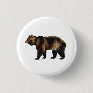 Badge Rond 2,50 Cm Épinglette Illustration de Livre Ours Brun Vintage
