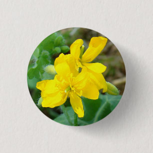 Badge Rond 2,50 Cm F44 Mustard sauvage Fleur sauvage jaune