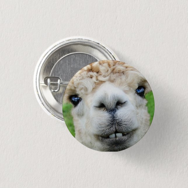 Badge Rond 2,50 Cm Face blanche d'alpaga mignonne (Devant & derrière)