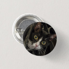 Badge Rond 2,50 Cm Face De Chat Tuxedo À Large Jeu