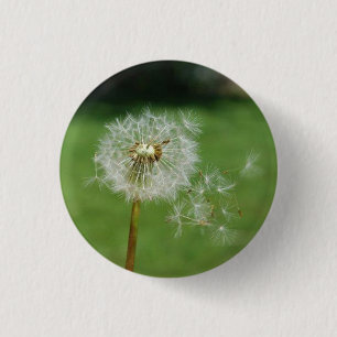 Badge Rond 2,50 Cm Faites un souhait