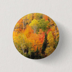 Badge Rond 2,50 Cm Fall Foliage Valley