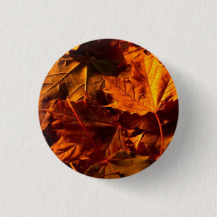 Badge Rond 2,50 Cm Feuilles de Thanksgiving