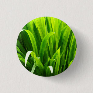 Badge Rond 2,50 Cm Feuilles rétroéclairés dans le jardin