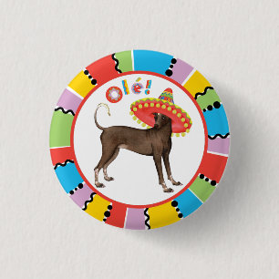 Badge Rond 2,50 Cm Fiesta Xolo