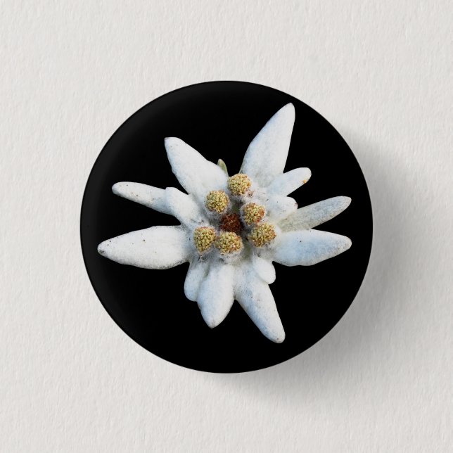 Badge Rond 2,50 Cm Fleur alpine d'edelweiss (Devant)