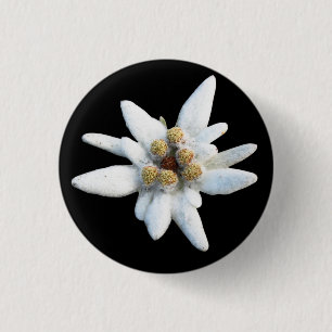 Badge Rond 2,50 Cm Fleur alpine d'edelweiss