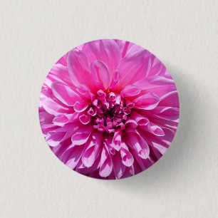 Badge Rond 2,50 Cm Fleur Dahlia Rose violet