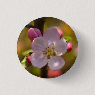 Badge Rond 2,50 Cm Fleur de pommier de printemps