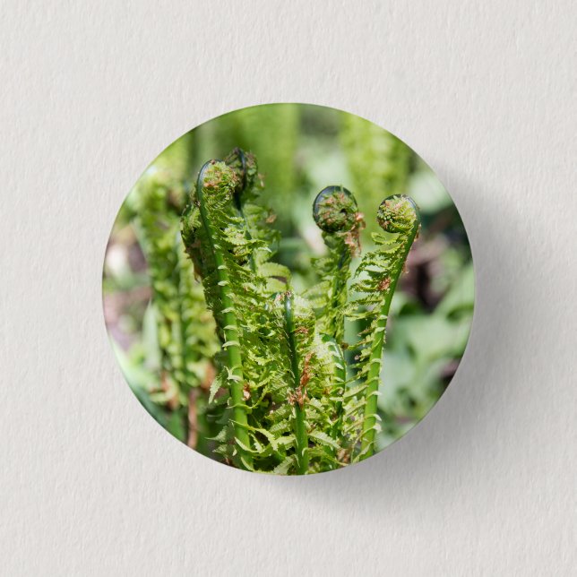 Badge Rond 2,50 Cm Fougère jeune qui s'éveille dans le jardin   (Devant)