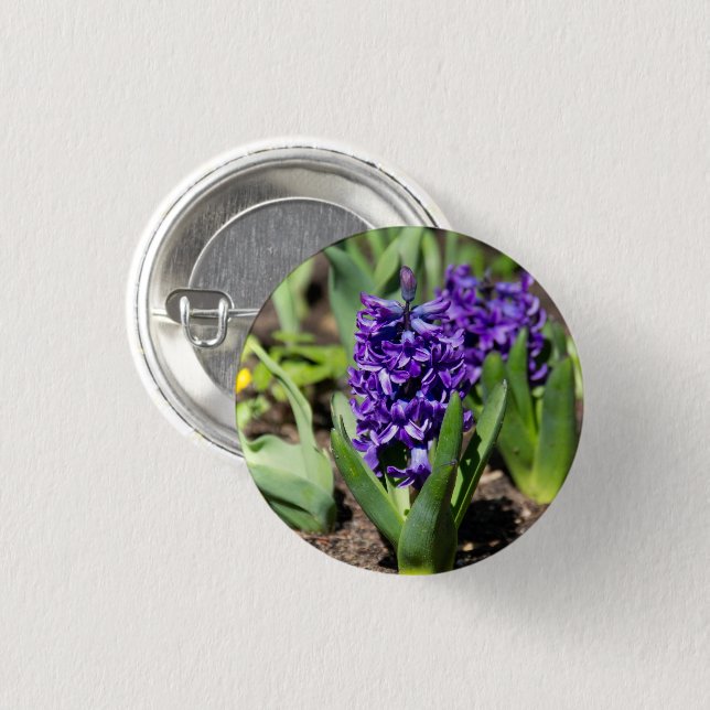 Badge Rond 2,50 Cm Géocinthe bleue au printemps   (Devant & derrière)