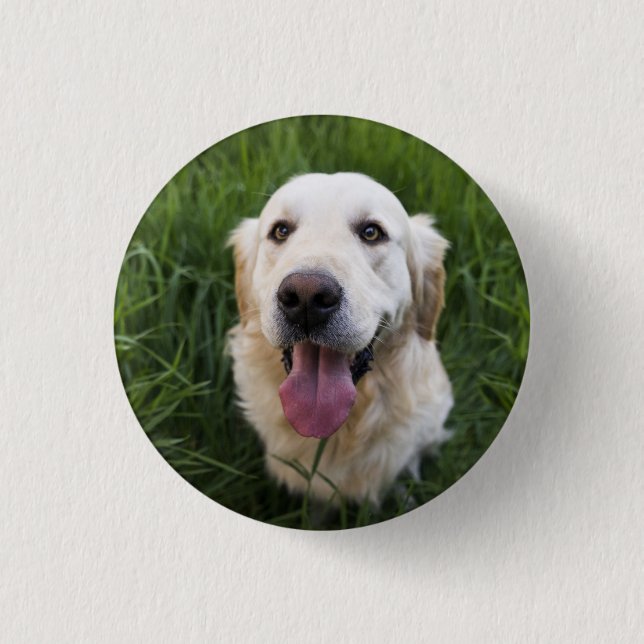 Badge Rond 2,50 Cm Golden Retriever souriant (Devant)