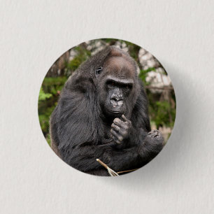 Badge Rond 2,50 Cm Gorille F 8672