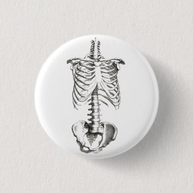 Badge Rond 2,50 Cm Goupille éffrayante de bouton d'anatomie (Devant)