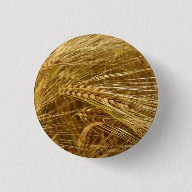 Badge Rond 2,50 Cm Grains de blé dans le champ. C’est l’heure de la r (Devant)