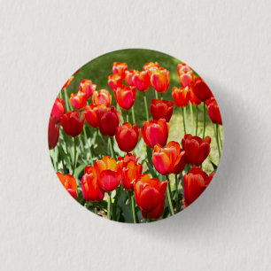 Badge Rond 2,50 Cm Grand champ de tulipes rouges
